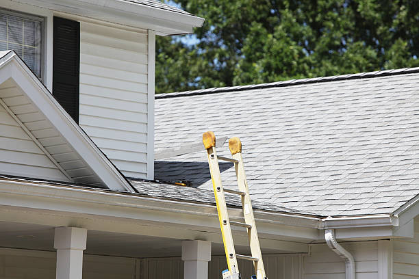 Best Shed Removal  in Plainview, TX